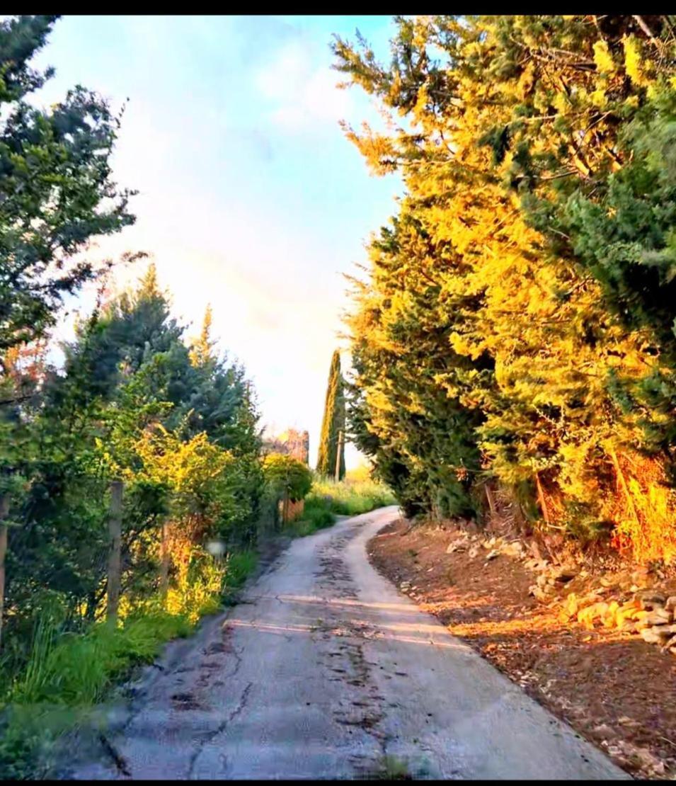 Donna Caterina House, Autentica Oasi Di Confort E Relax Nel Cuore Della Sicilia Pietraperzia מראה חיצוני תמונה